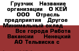 Грузчик › Название организации ­ О’КЕЙ, ООО › Отрасль предприятия ­ Другое › Минимальный оклад ­ 25 533 - Все города Работа » Вакансии   . Ненецкий АО,Тельвиска с.